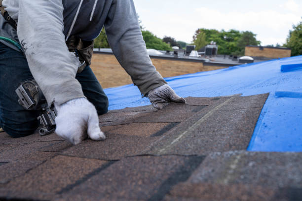 Best Commercial Roofing Services  in Shoh, IL