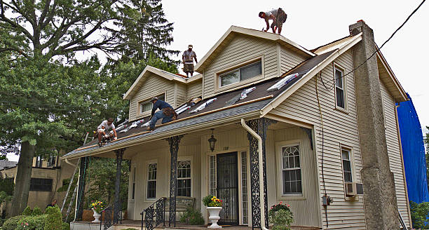 Best Roof Leak Repair  in Shoh, IL